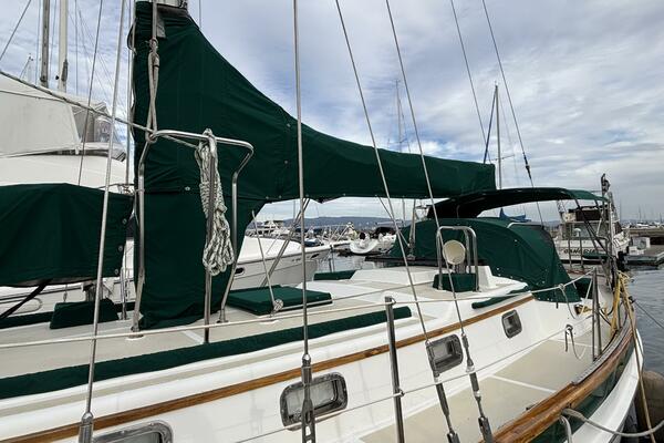 Safety pulpit, mainsail and dorade