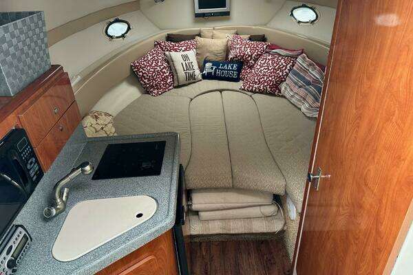 Photo of the 2006 Larson Cabrio 274