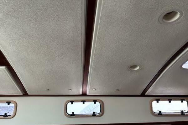 31ft Tartan Yacht For Sale