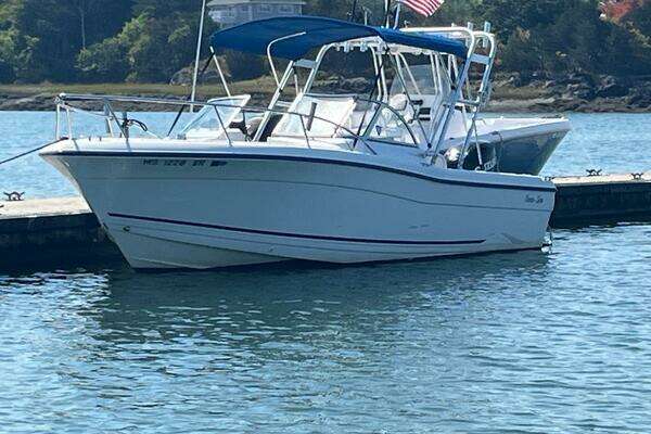 Photo of the 2003 Palm Beach 22DC White Cap