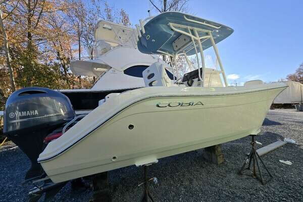 22-ft-Cobia-2020-220- CROWNSVILLE Maryland United States  yacht for sale