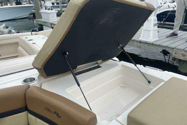 Photo of the 2014 Sea Ray 250 SLX
