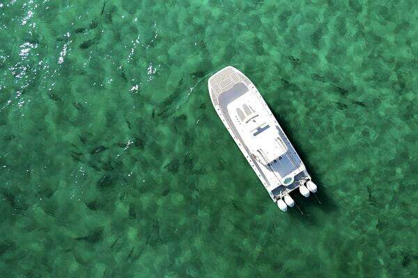 Invincible Catamaran Yacht For Sale