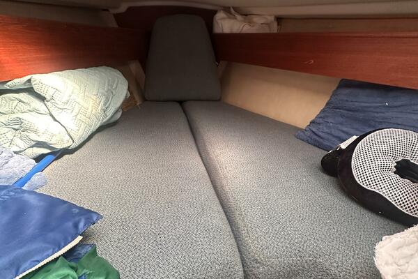 Bay Lark 34ft Sabre Yacht For Sale