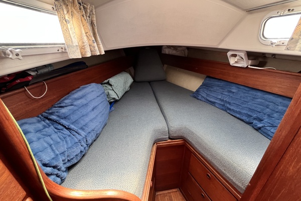 Bay Lark 34ft Sabre Yacht For Sale