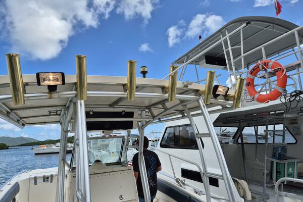 Voyager 33ft World Cat Yacht For Sale