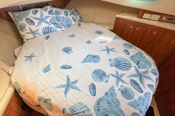 Nevadatude 39ft Mainship Yacht For Sale