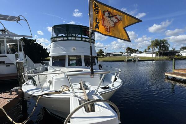 Nevadatude 39ft Mainship Yacht For Sale
