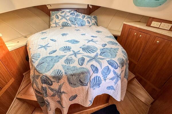 Nevadatude 39ft Mainship Yacht For Sale