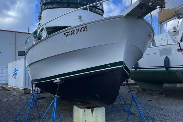Nevadatude 39ft Mainship Yacht For Sale