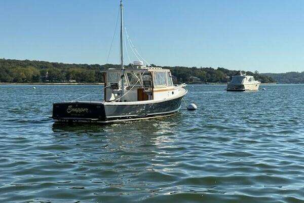 Photo of the 1975 Jarvis Newman 