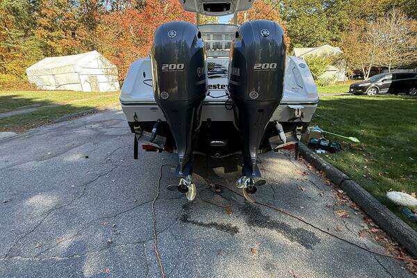 Photo of the 2017 Century  "J-Bird"