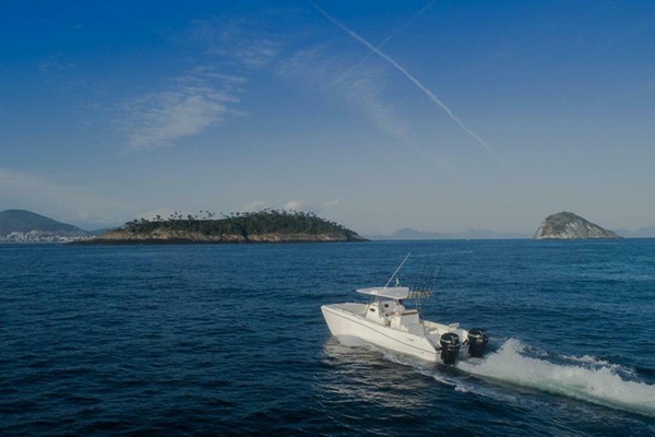 29ft Garnet Offshore Yacht For Sale