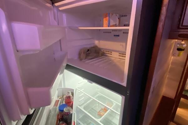 Second Chance 46ft Post Yacht For Sale