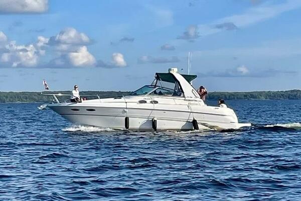 31ft Sea Ray Yacht For Sale