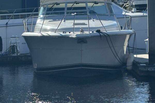 Photo of the 1993 Tiara Yachts 4300 Convertible "Dig-N-It"