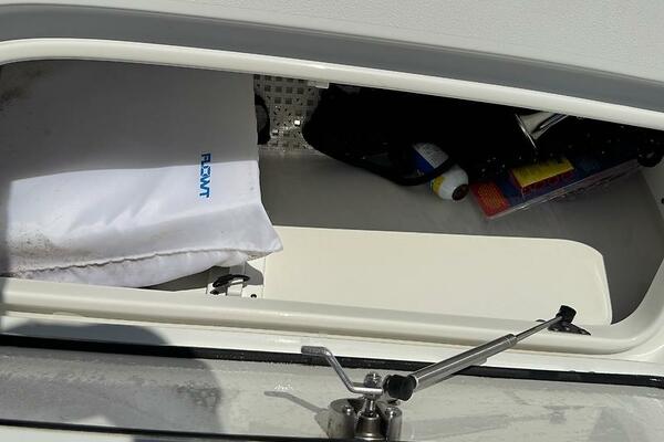 25ft Sea Hunt Yacht For Sale