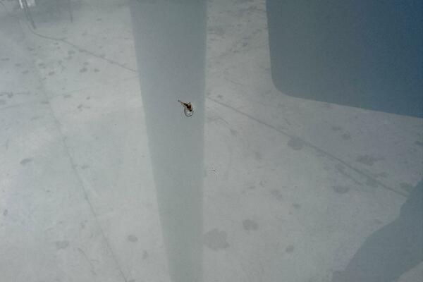 28ft Cobia Yacht For Sale