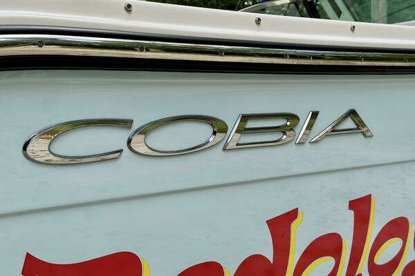 2022 Cobia 28