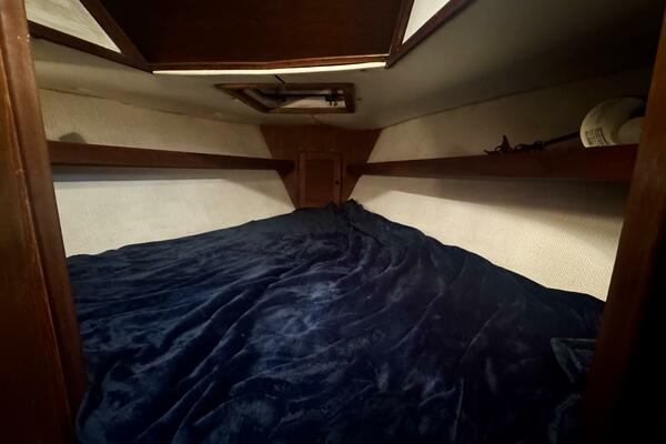 38ft Morgan Yacht For Sale