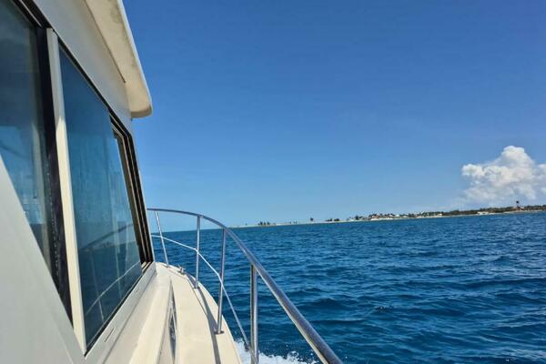 30ft Albin Yacht For Sale