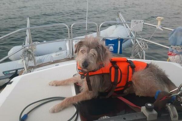 36ft S2 Yacht For Sale