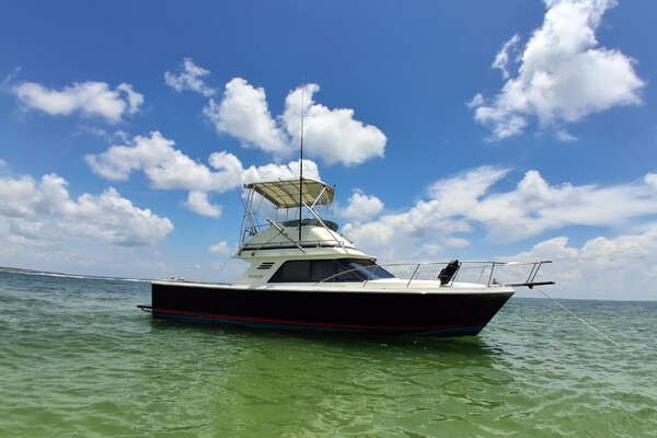 Odyssea 29ft Blackfin Yacht For Sale