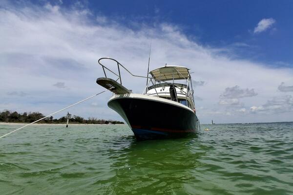Odyssea 29ft Blackfin Yacht For Sale