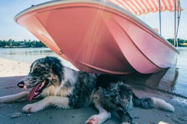 Palm Yacht 17 - Exterior Bow Port