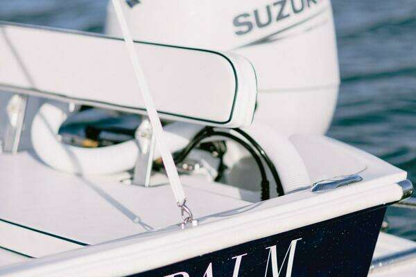 Photo of the 2026 Custom Palm Yachts 17