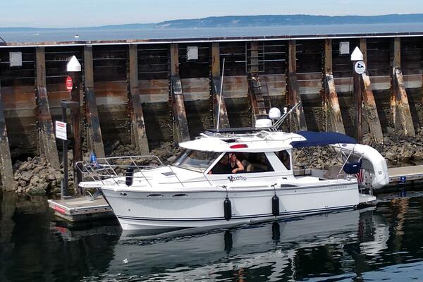 Free Range  28ft Cutwater Yacht For Sale