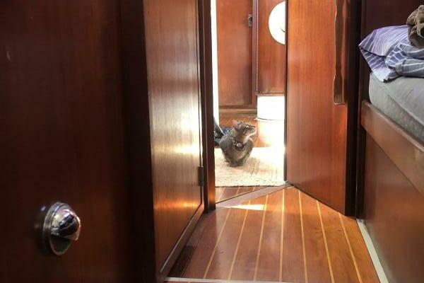 Catherine 43ft C amp C Yacht For Sale