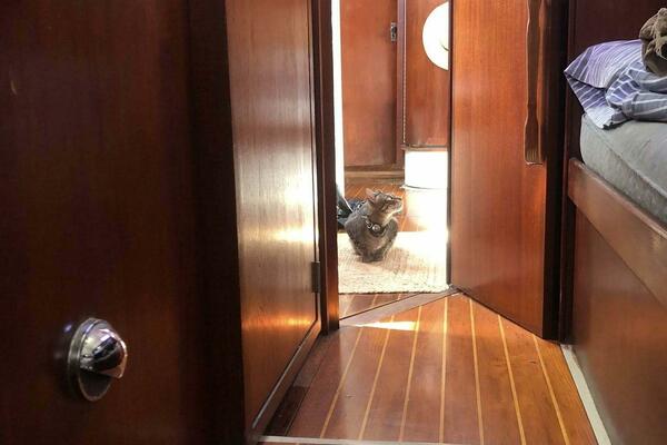 Catherine 43ft C amp C Yacht For Sale