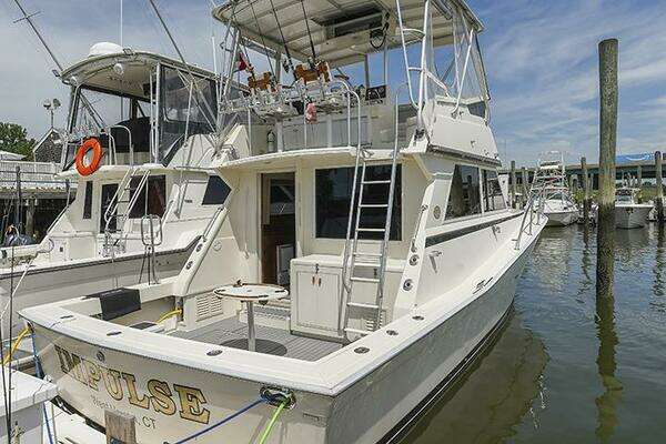 Photo of the 1987 Viking Palm Beach