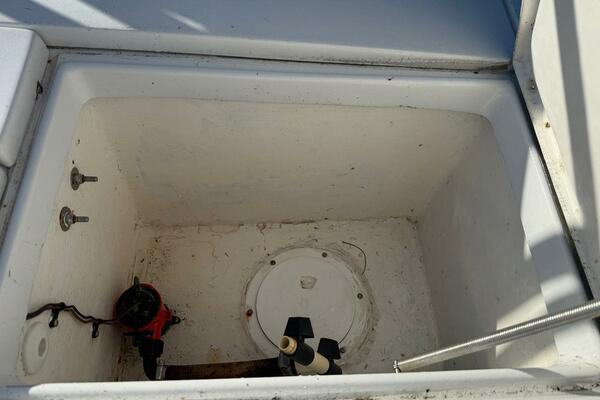 18ft Dolphin Yacht For Sale