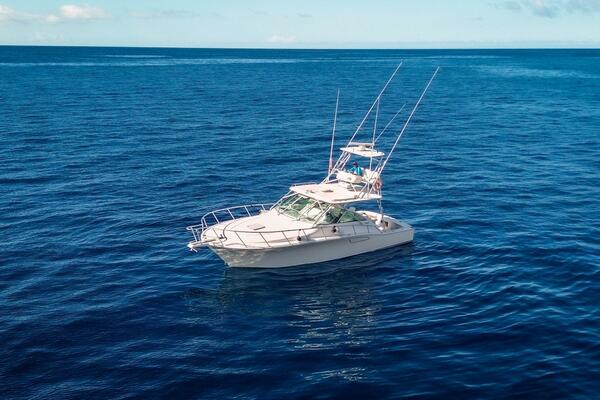 Blue Legend 40ft Cabo Yacht For Sale