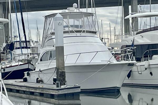 Musn t Touch It 38ft Egg Harbor Yacht For Sale