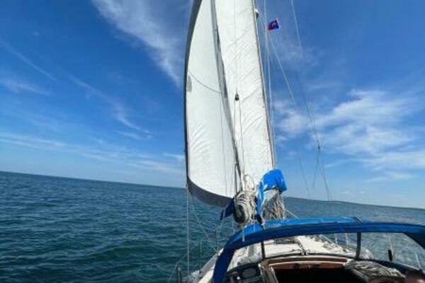 Unsightly 36ft Catalina Yacht For Sale