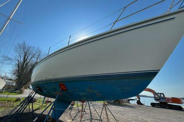 Unsightly 36ft Catalina Yacht For Sale