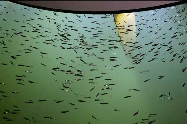 Beneteau Oceanis 55 Yacht For Sale