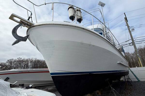 Sunset Magic III 38ft Golden Star Yacht For Sale