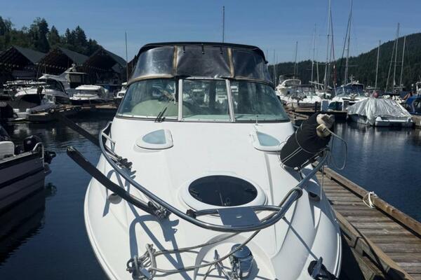 27ft Campion Yacht For Sale