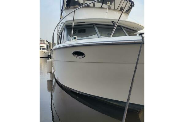 Limoncello 32ft Carver Yacht For Sale