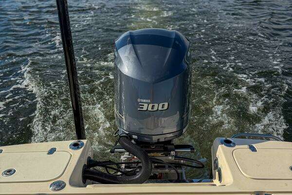 Photo of the 2018 Scout 251 XSS