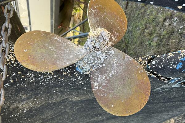 Free Spirit 47ft Alden Yacht For Sale