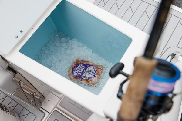 29ft Solara Yacht For Sale