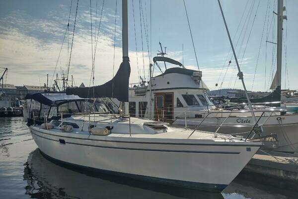 Catalina 36 MkII Yacht For Sale
