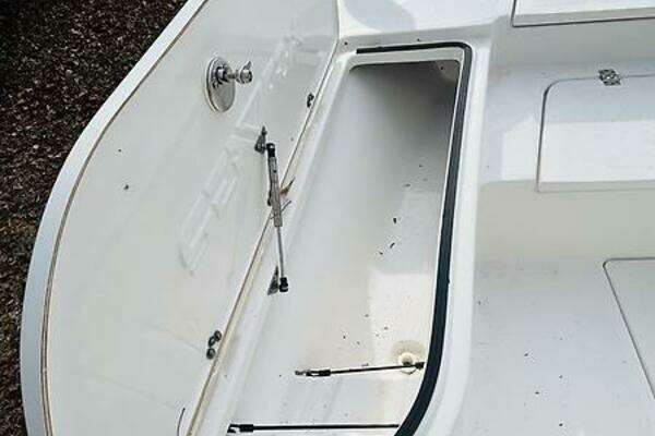 Photo of the 2017 Sea Fox 220 Viper