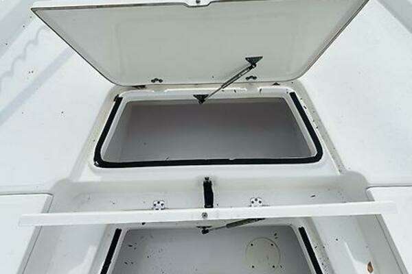 Photo of the 2017 Sea Fox 220 Viper