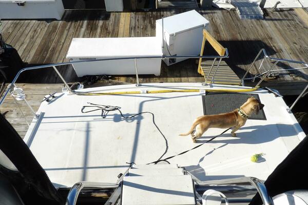 28ft Carver Yacht For Sale